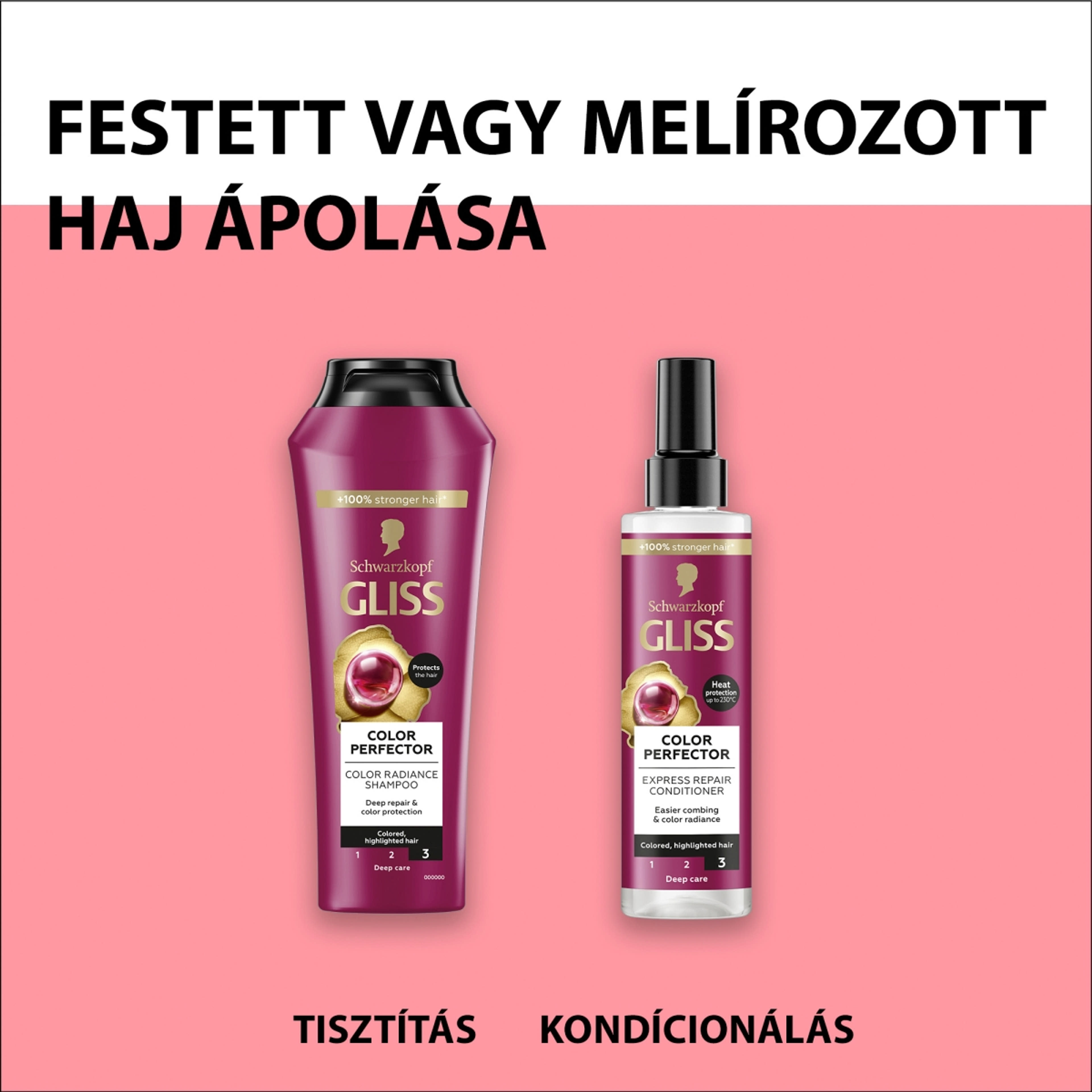 Gliss Ragyogó szín és védelem hajregeneráló sampon - 250 ml-6