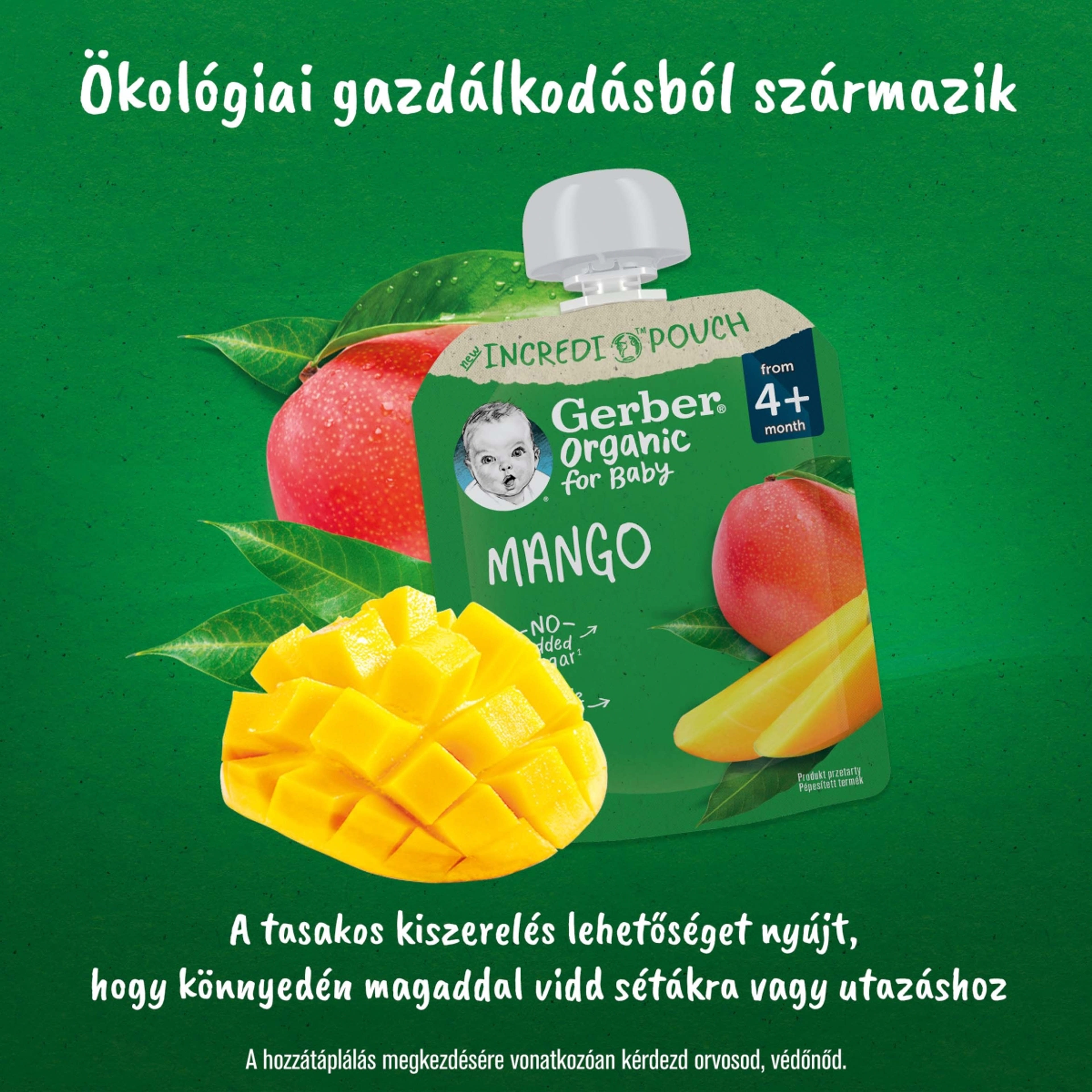 Gerber bio mangó gyümölcspüré 4 hónapos kortól - 80 g-5