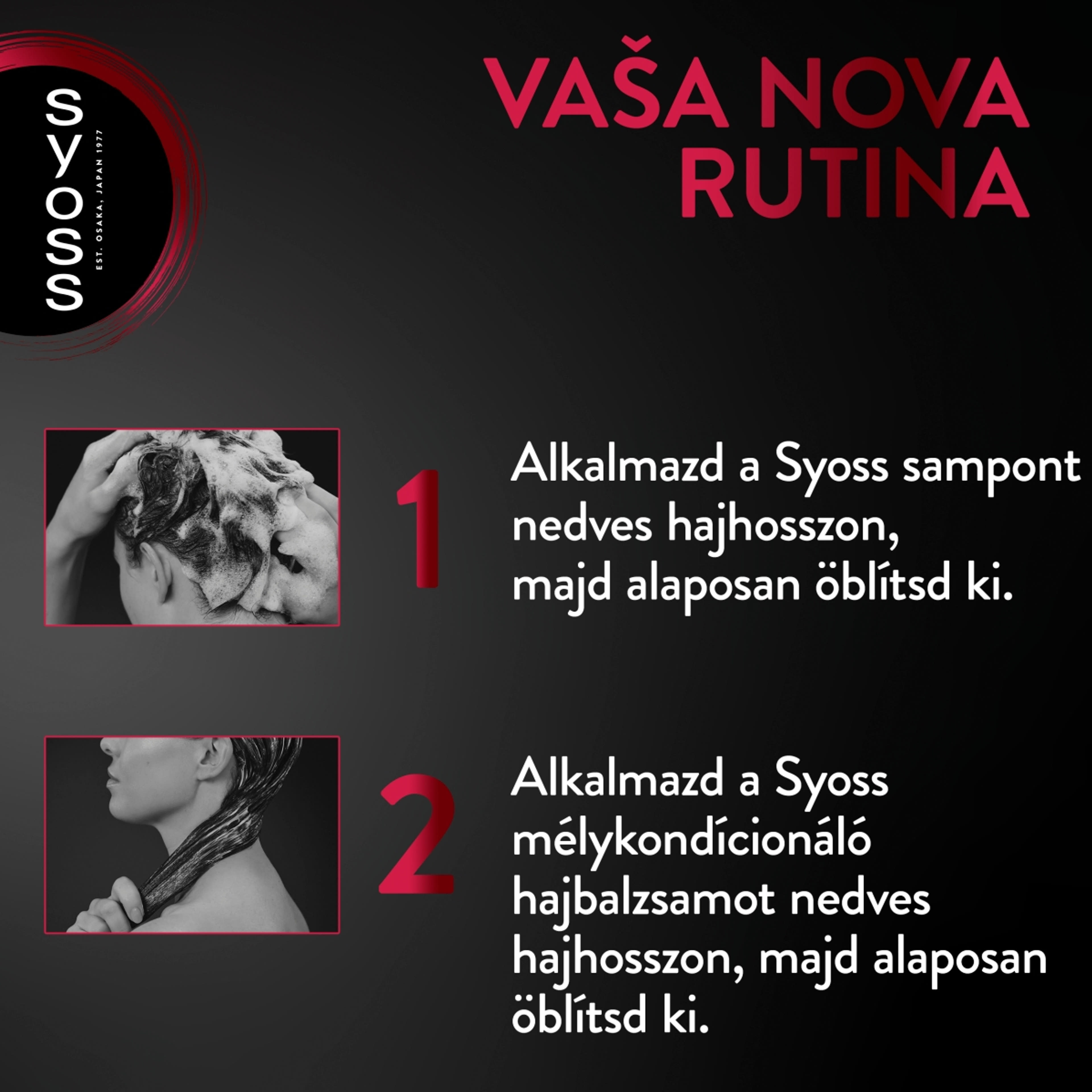 Syoss balzsam colorist festett hajra - 440 ml-6
