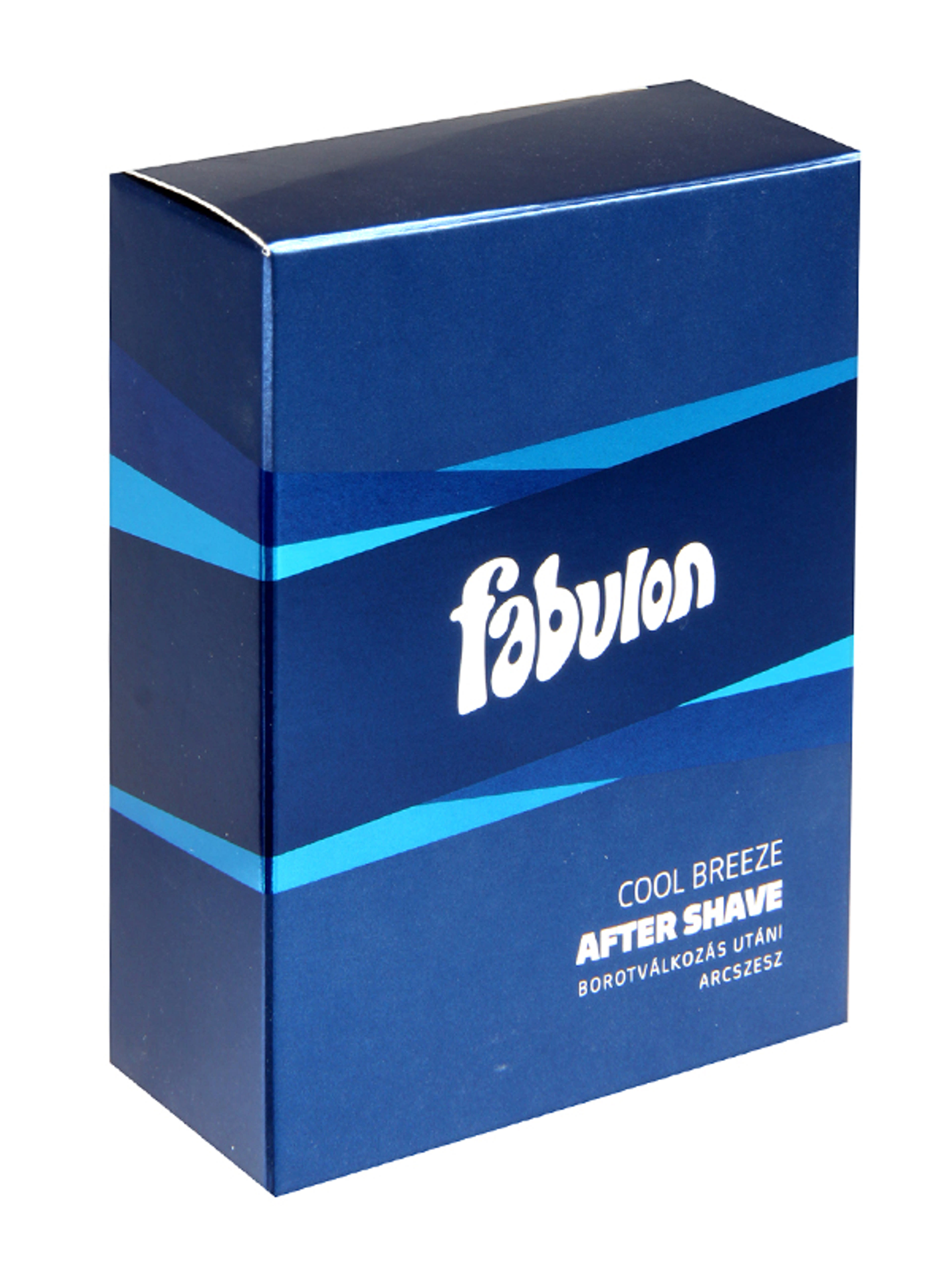 Fabulon Cool Breeze after shave - 100 ml-1