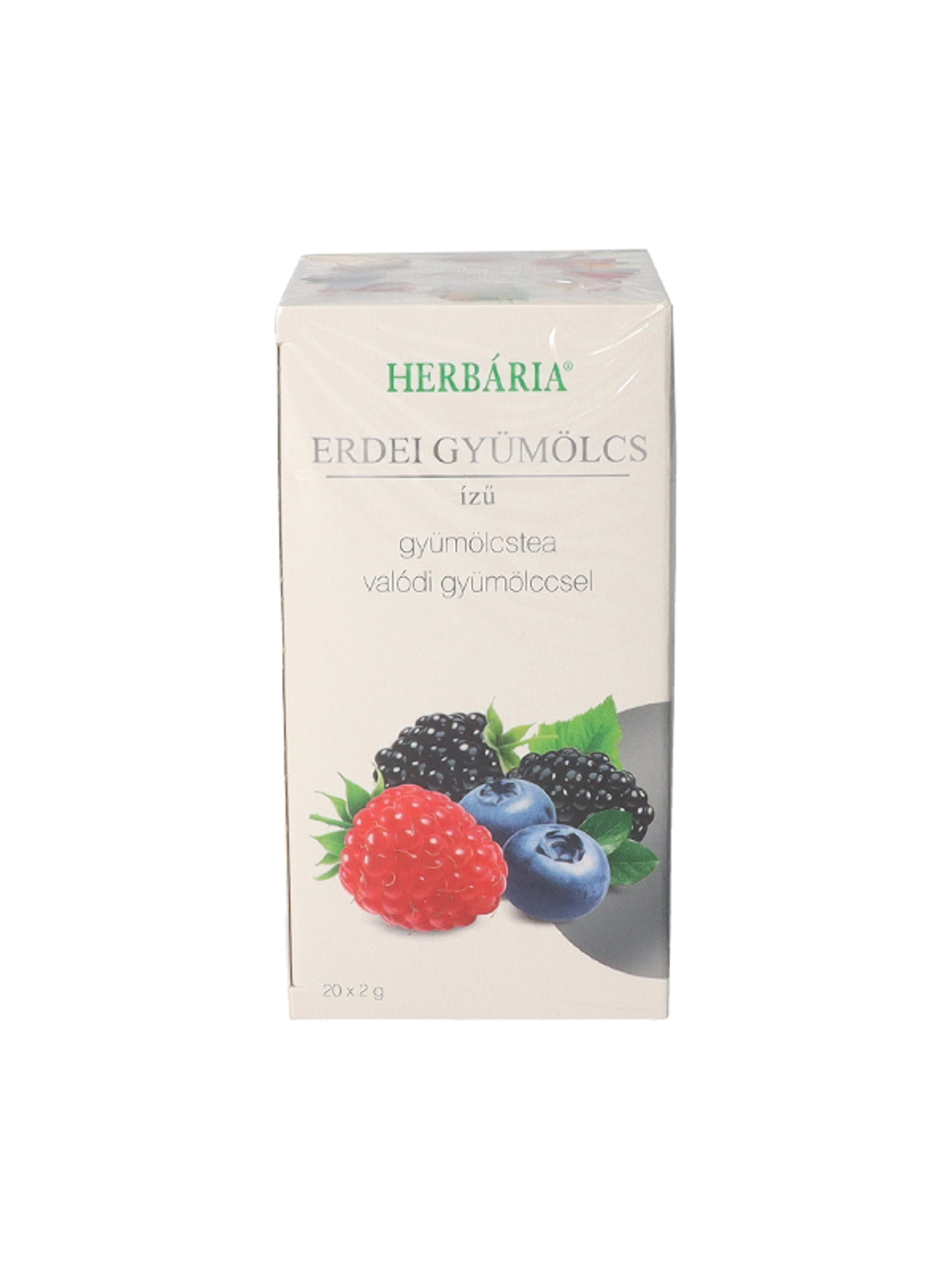 Herbavita gyümölcs tea - 40 g-1