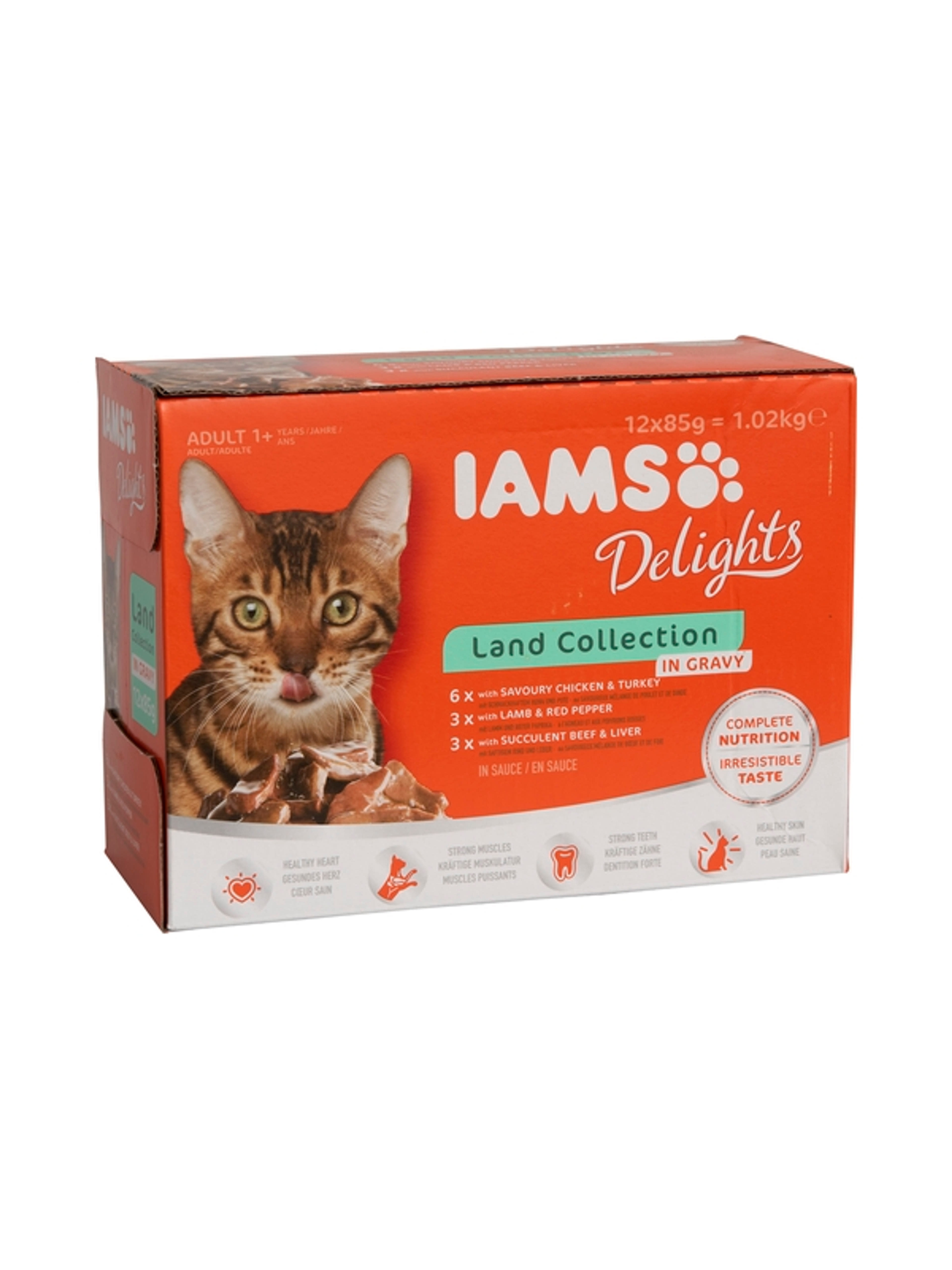 IAMS Delights alutasak macskáknak, Land in gravy szószos (12x85 g) - 1020 g