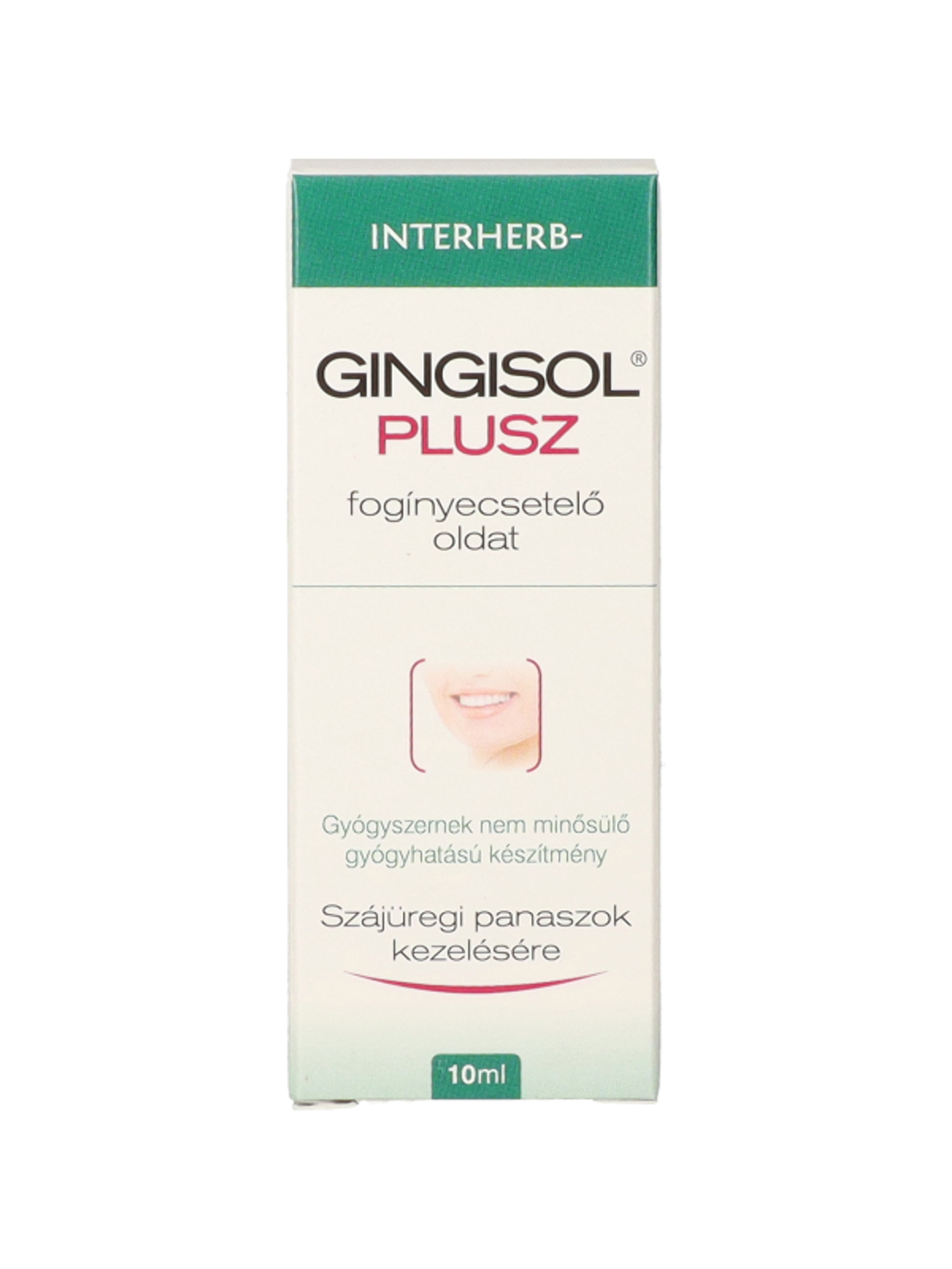 Interherb Gingisol Plus fogínyecsetelo oldat - 10 ml-1