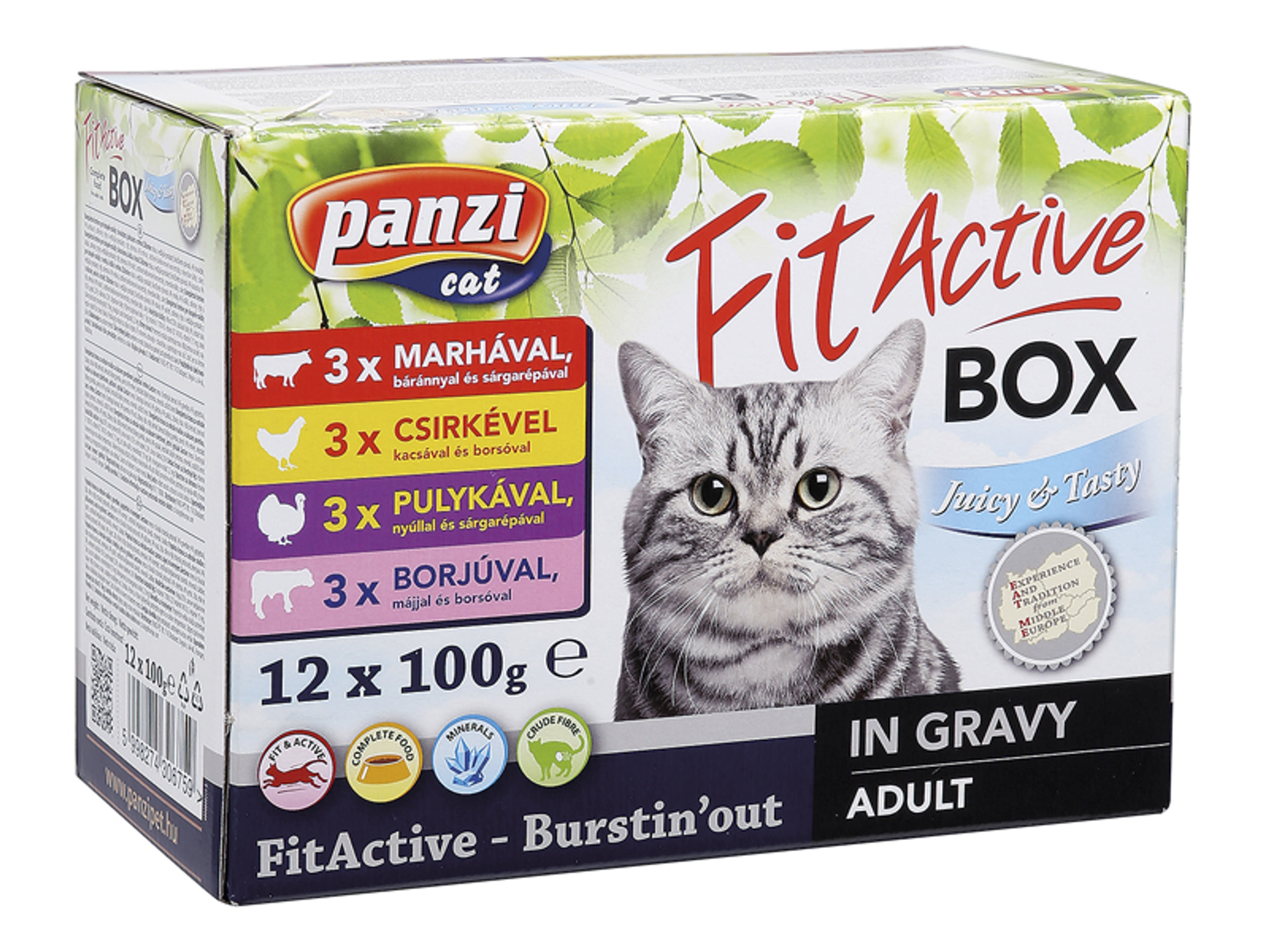 Panzi Fit Active felnőtt teljes értékű szárazeledel macskáknak, (12x100 g) - 1200 g