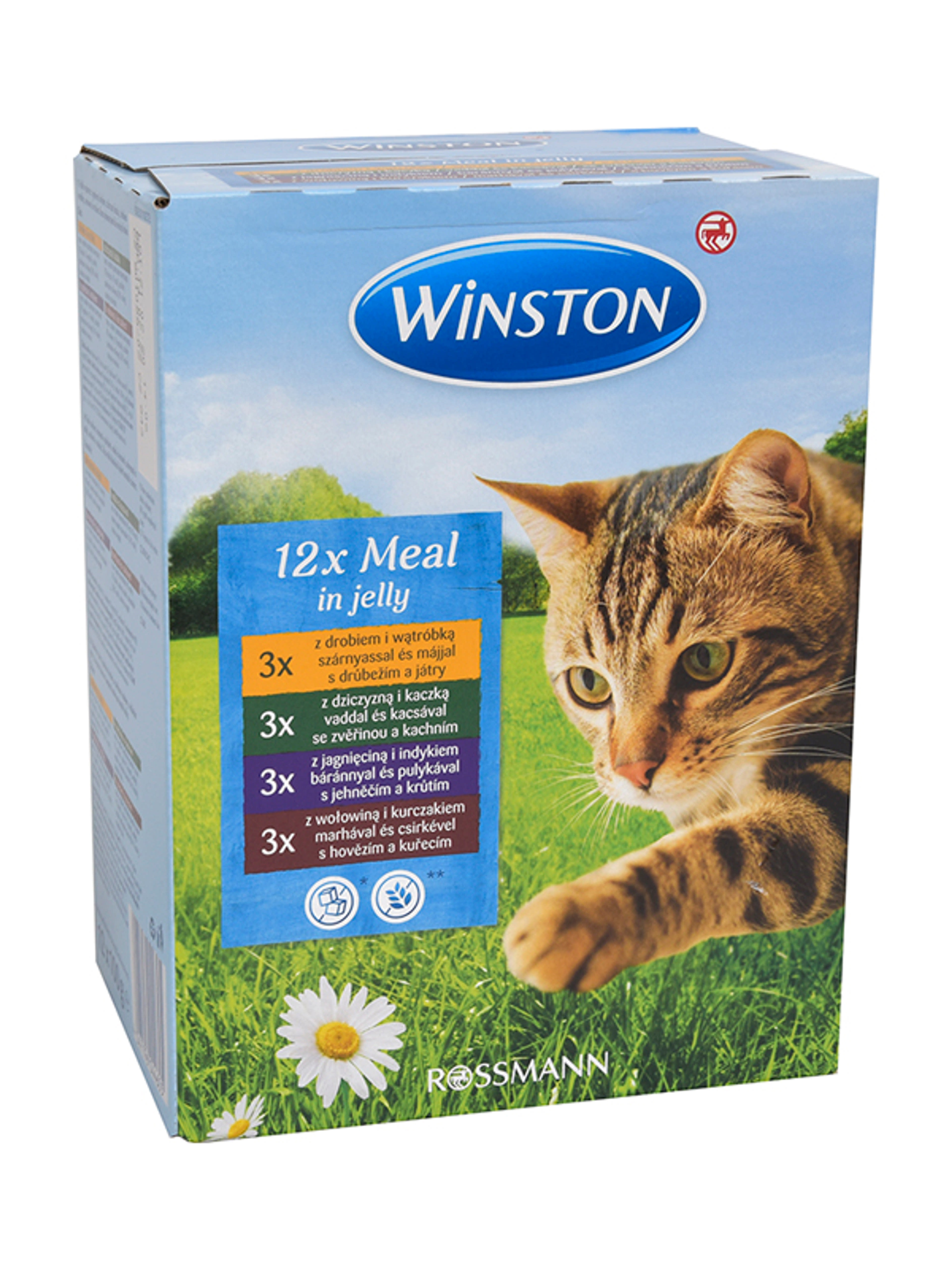 Winston alutasak macskáknak, zselében - 1200 g-1